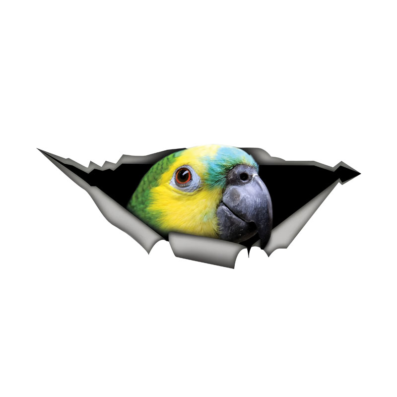 Car Accessories Amazon - DK582 # Blauw front Amazon Parrot