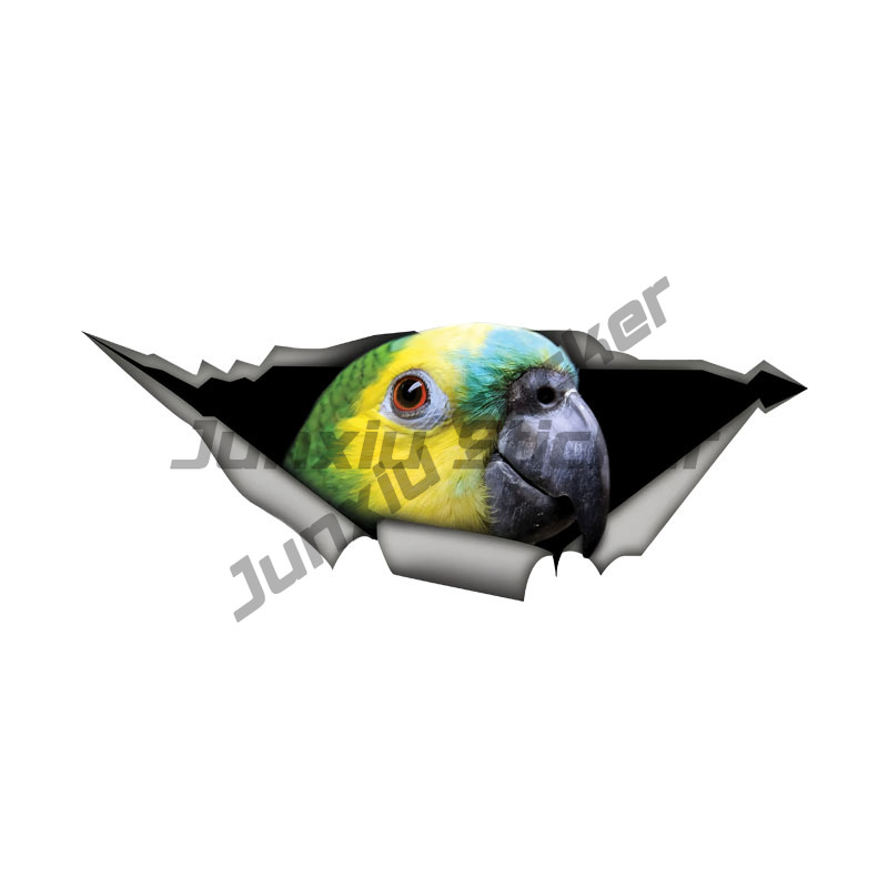 Car Accessories Amazon - Blue Fronted Amazon Parrot Autostickers Grappige