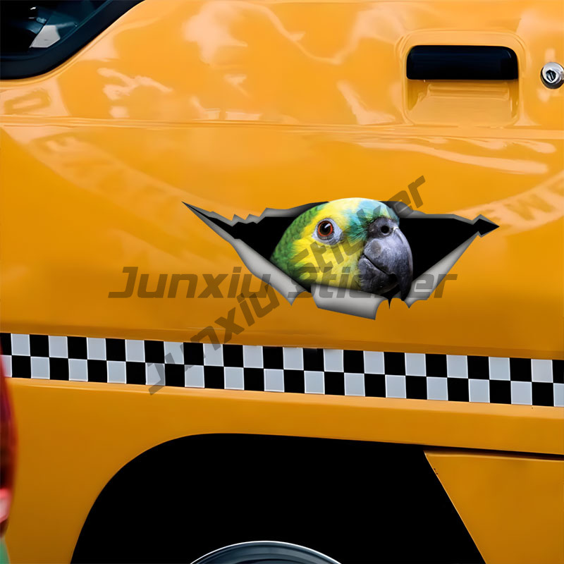 Blue Fronted Amazon Parrot Aut - Car Accessories Amazon recensie en prijs