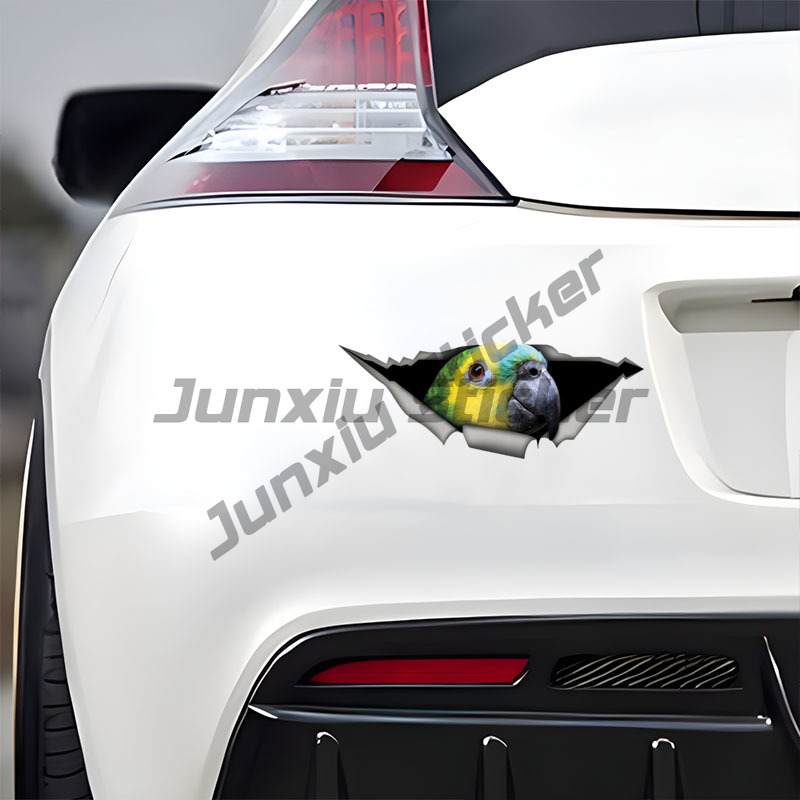Blue Fronted Amazon Parrot Aut - Car Accessories Amazon recensie en prijs